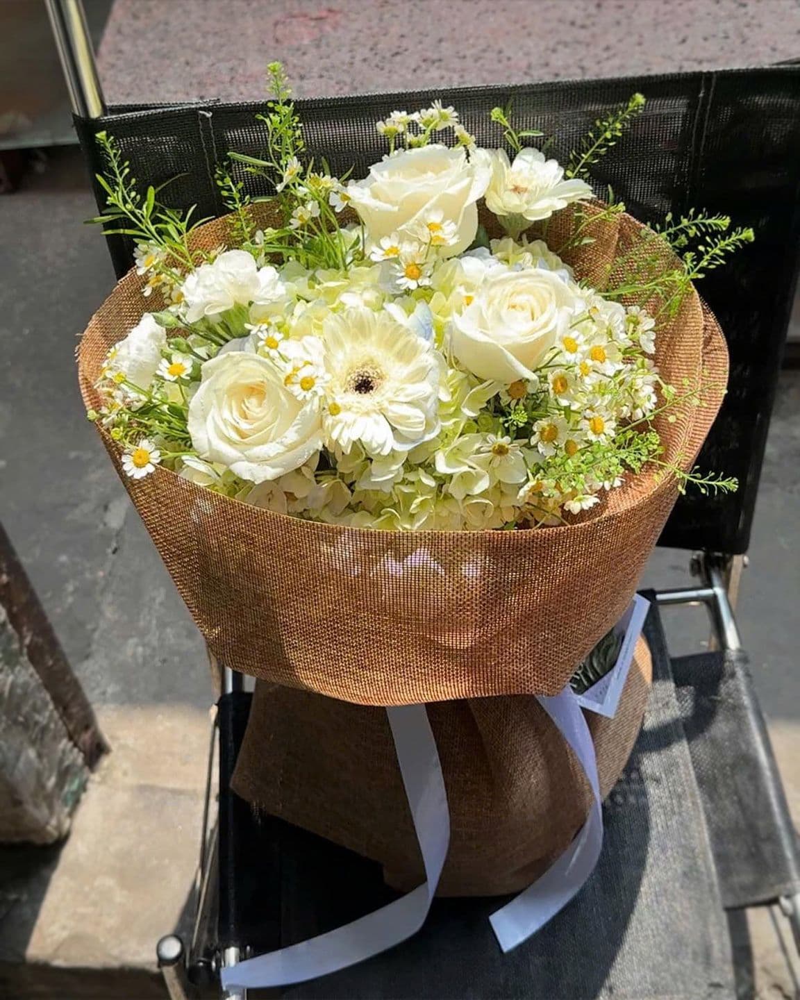 Hoa Cẩm Chướng Mix