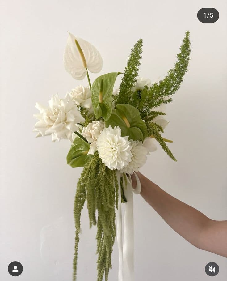 Lily Trắng Tinh Khôi