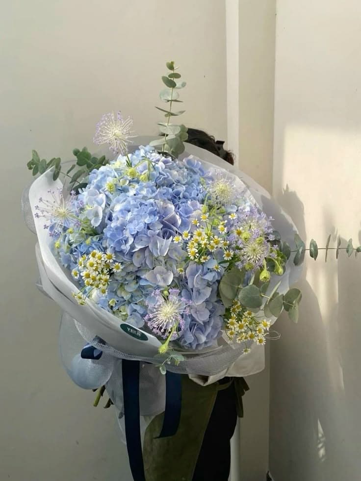 Cẩm Tú Cầu Xanh